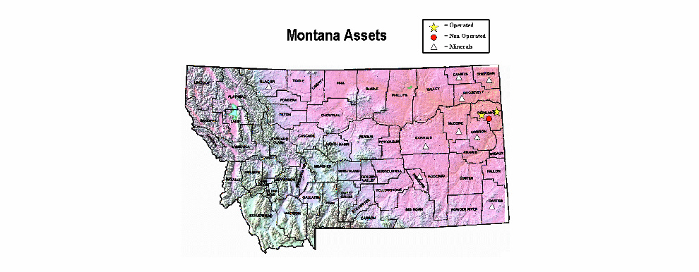 assets_montana